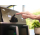 Braun Airfryer Braun TwinCook 5 TD5030I - 1525877 - zdjęcie 5